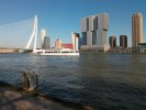 Erasmusbrug