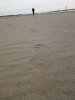 Spuren im Sand