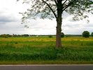 Chaussee