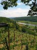 Weinhang
