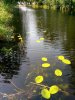 Finowkanal