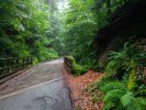 Wehlener Grund