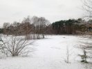 Wiese
