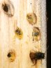 Insektenhotel