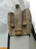 Adler