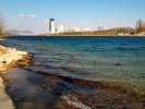Neue Donau