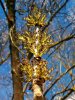 Frühling