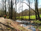 Saubachtal