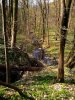 Saubachtal