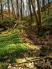 Saubachtal