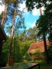 Waldpark