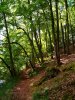 Steilufer